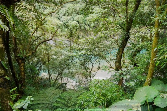 新北烏來 烏來瀑布00020