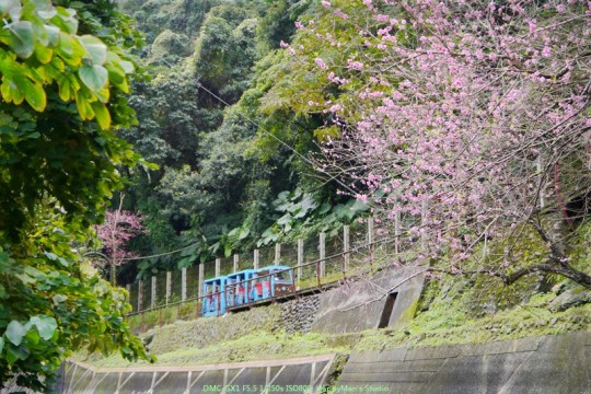 新北烏來 烏來瀑布00023