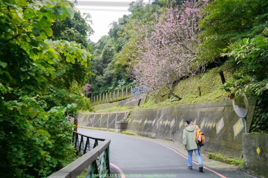 新北烏來 烏來瀑布00024