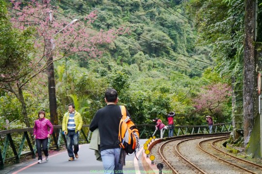 新北烏來 烏來瀑布00026