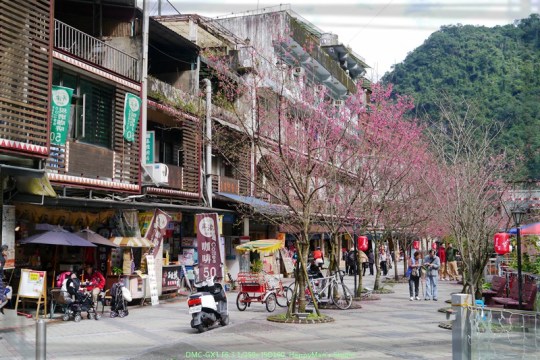 新北烏來 烏來瀑布00031