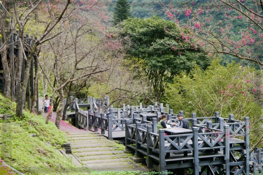 新北烏來 烏來瀑布公園00001