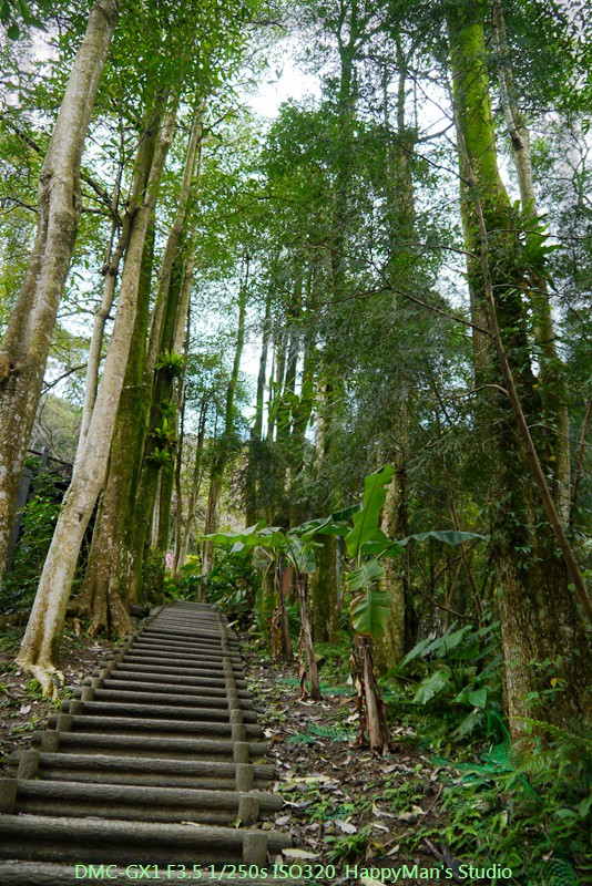 新北烏來 烏來瀑布公園00005