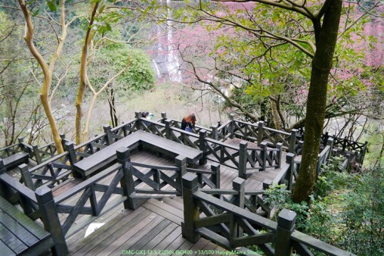 新北烏來 烏來瀑布公園00006