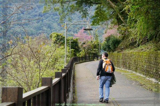 新北烏來 烏來瀑布公園00010