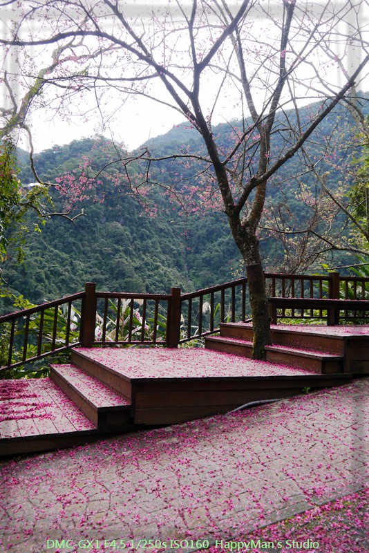 新北烏來 烏來瀑布公園00012