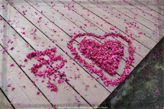 新北烏來 烏來瀑布公園00014