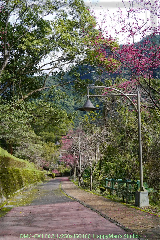 新北烏來 烏來瀑布公園00015