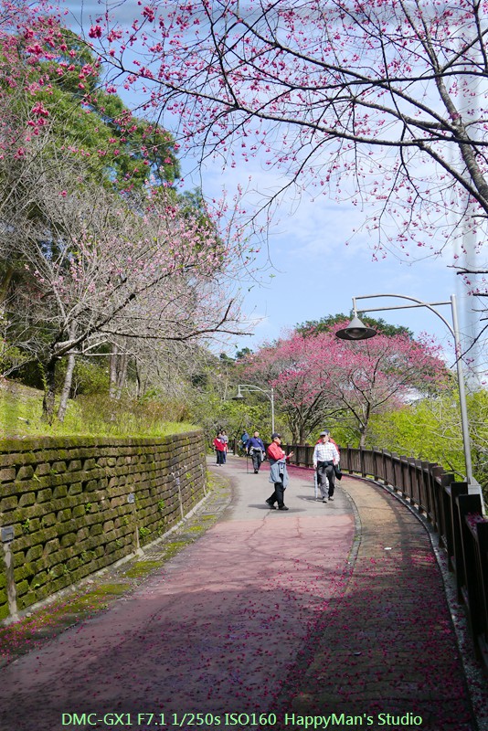 新北烏來 烏來瀑布公園00016