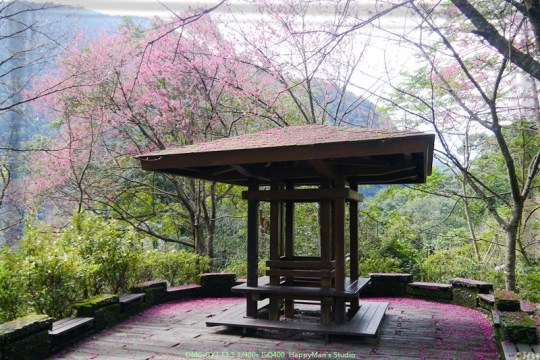 新北烏來 烏來瀑布公園00018