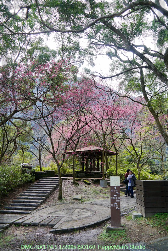 新北烏來 烏來瀑布公園00023