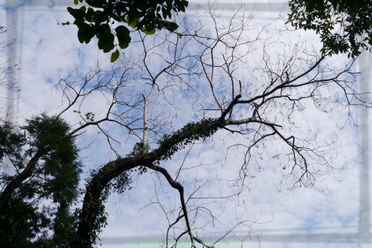 新北烏來 烏來瀑布公園00032