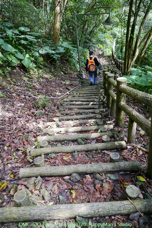新北烏來 烏來瀑布公園00035