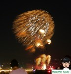 batch_2017e5b9b4e5a4a7e7a8bbe59f95e78599e781ab00001