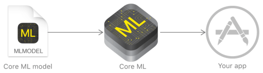 Using Core ML Model.png